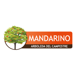 Logo del proyecto Mandarino en avance de obra, destacando construcción moderna en Ibague, con diseño arquitectónico innovador en tonos naranjas y grises.