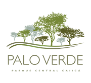 Logo del proyecto Palo Verde 