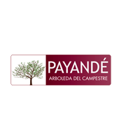Logo Payande 