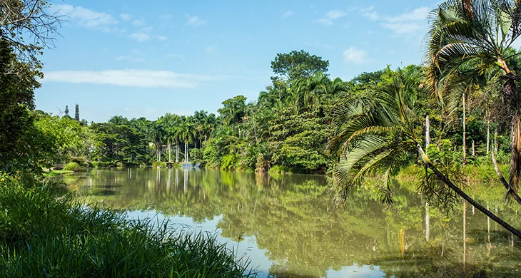 Parque natura: Tu sueño de vivienda hecho realidad en Cali