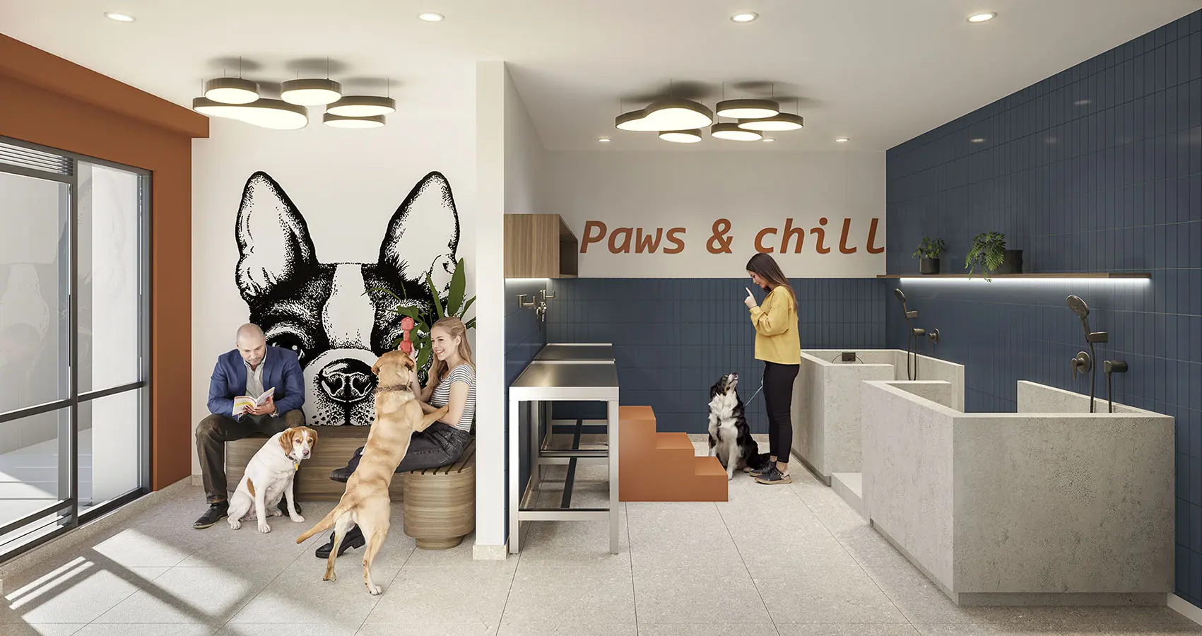 Zona de mascotas del proyecto 80 deck living