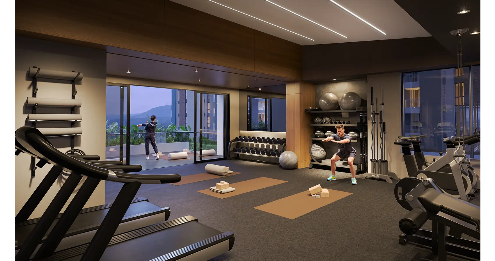 Gimnasio del proyecto Zenda