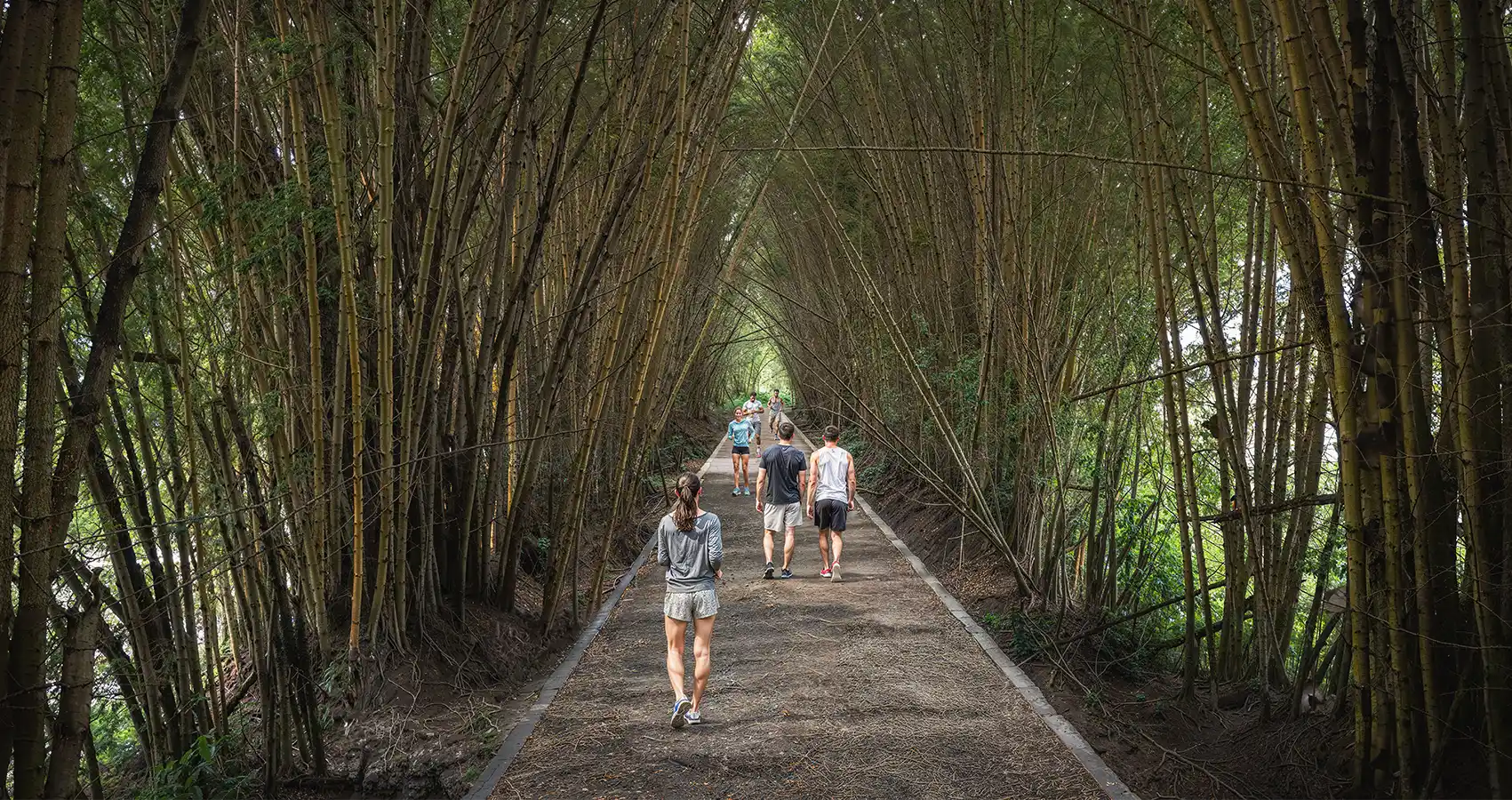 Sendero del proyecto Mirabosque