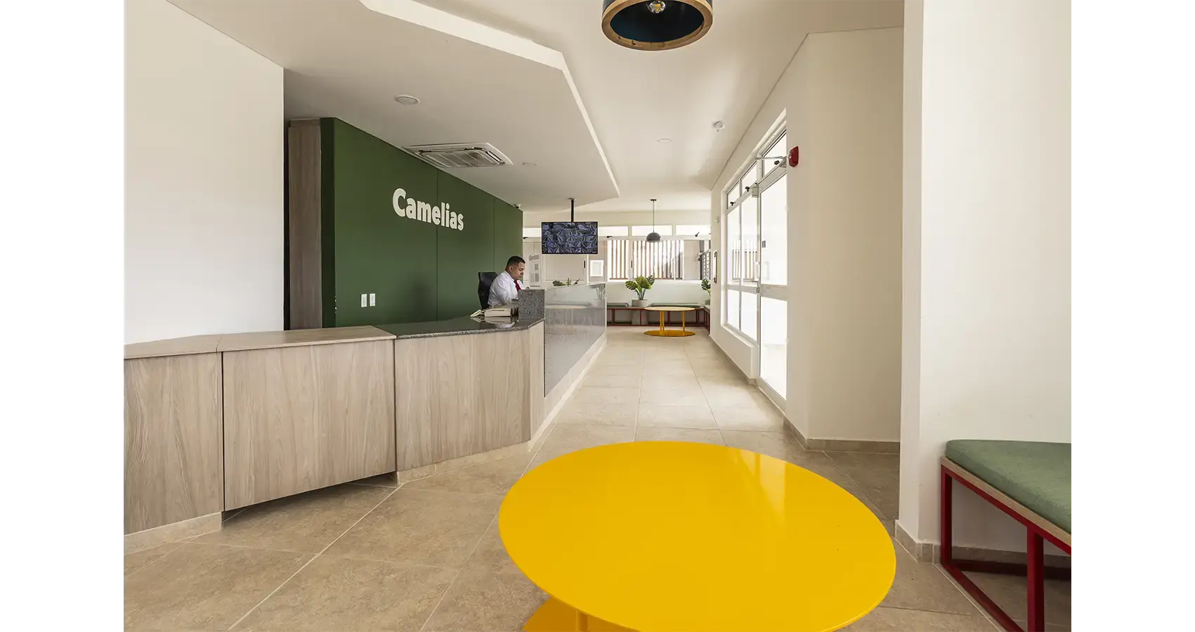 Camelias - portería