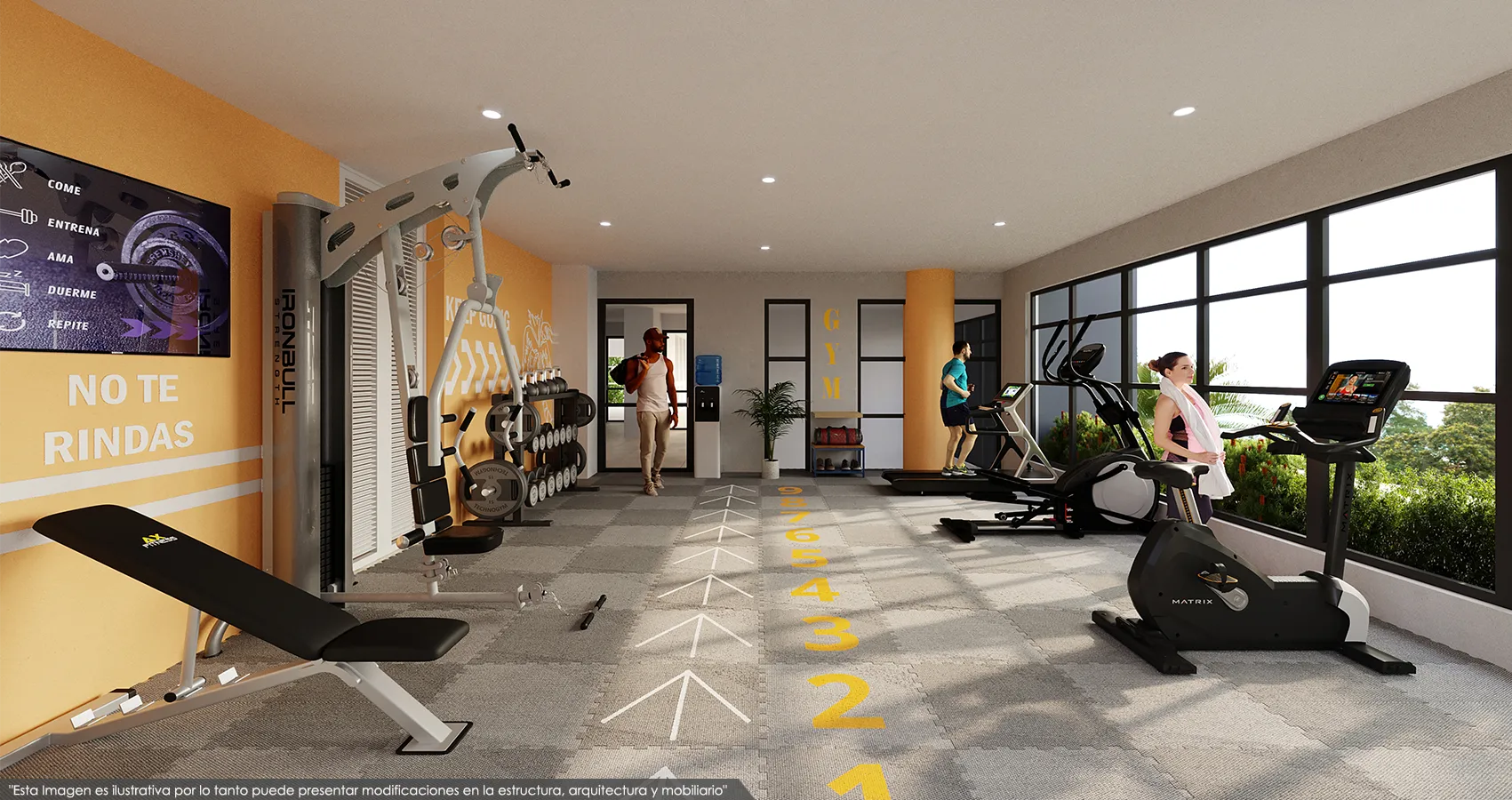 Gym - Proyecto Arboral