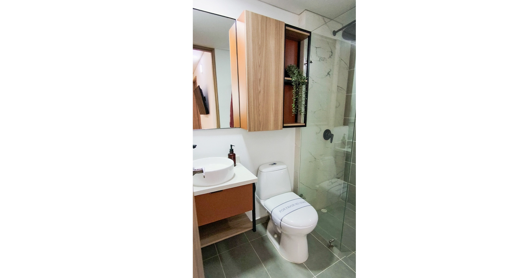 Apto modelo del proyecto los Lagos - baño principal