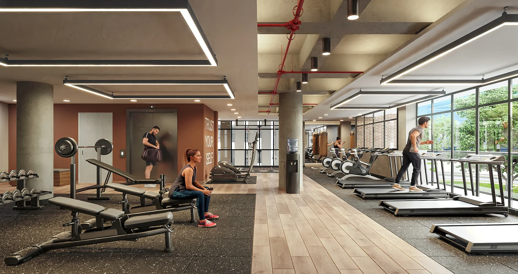 Gimnasio del proyecto Celeste