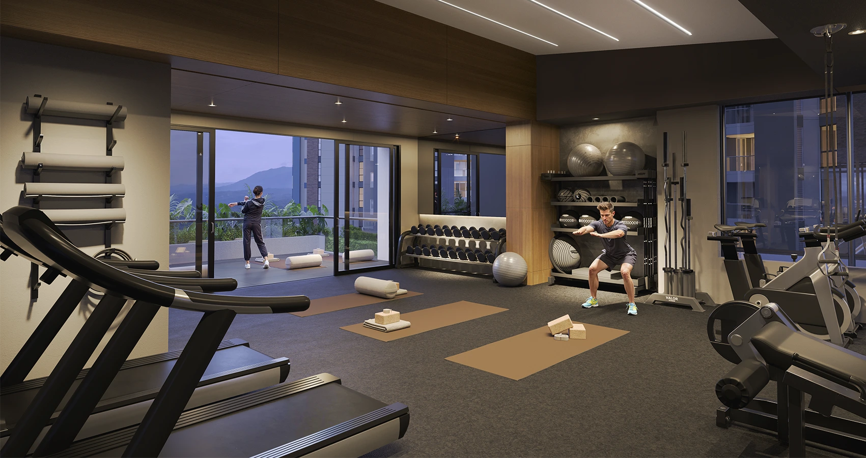Proyecto Zenda Gym