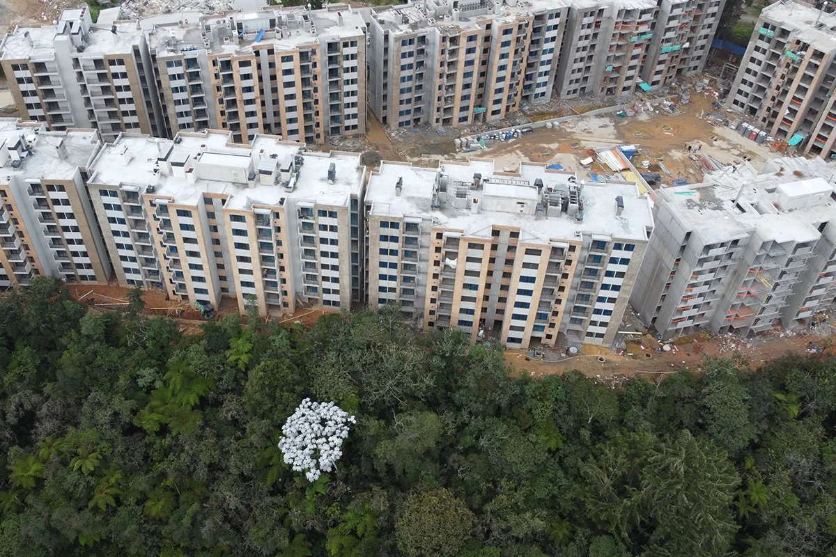 Foto del proyecto Bosque Ceibal en avance de obra Octubre de 2024