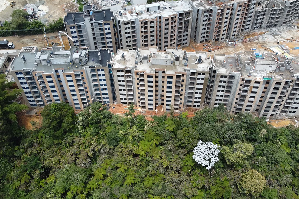 Foto del proyecto Bosque Ceibal en avance de obra Agosto de 2024