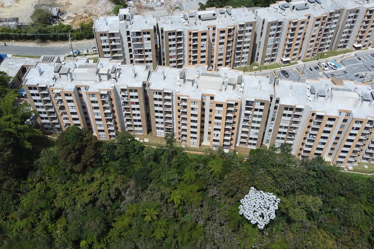 Foto del proyecto Bosque Ceibal en avance de obra agosto de 2025