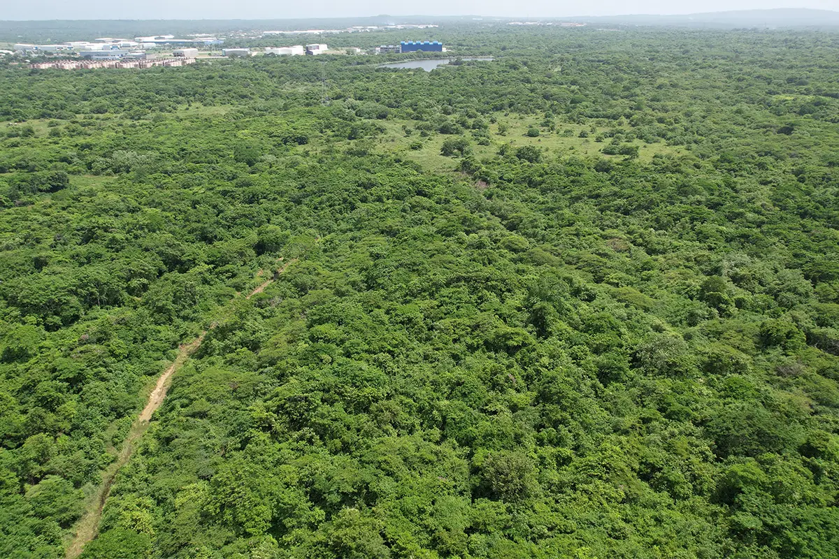 Foto del proyecto Casas de Portobelo en avance de obra agosto de 2025