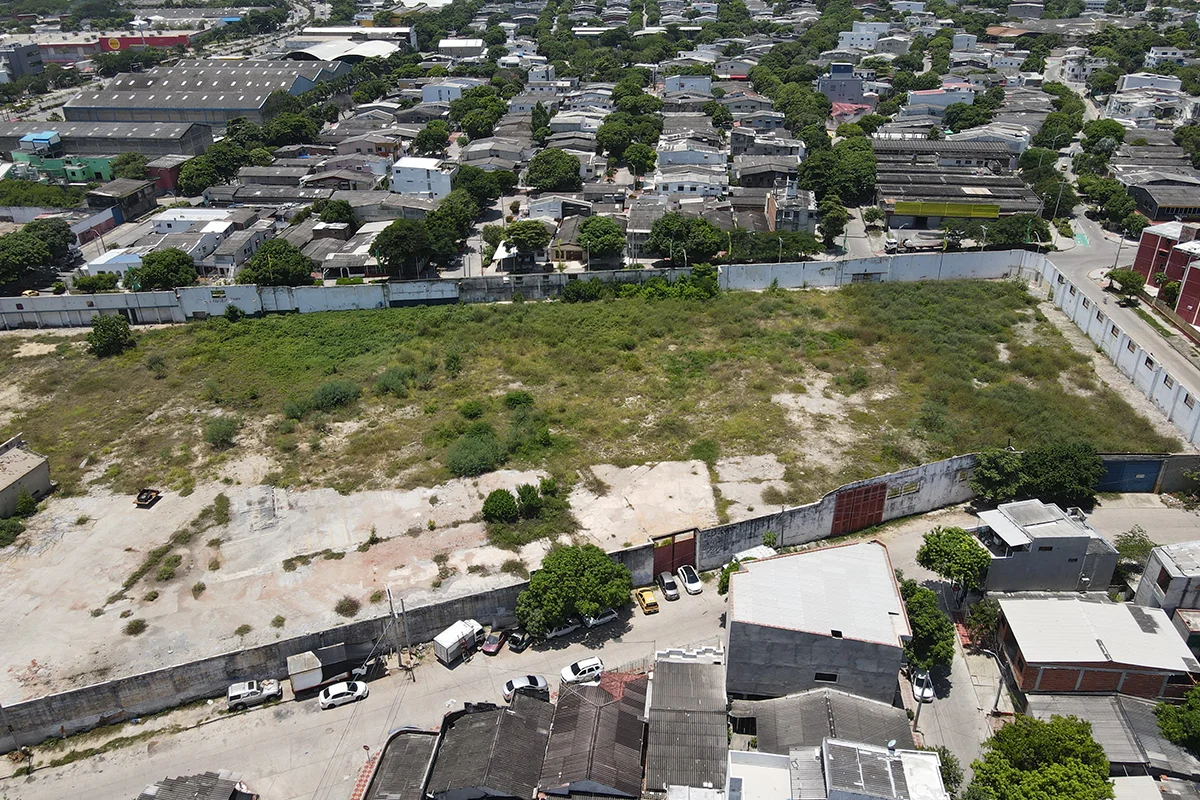 Foto del proyecto Floresta en avance de obra Agosto de 2024