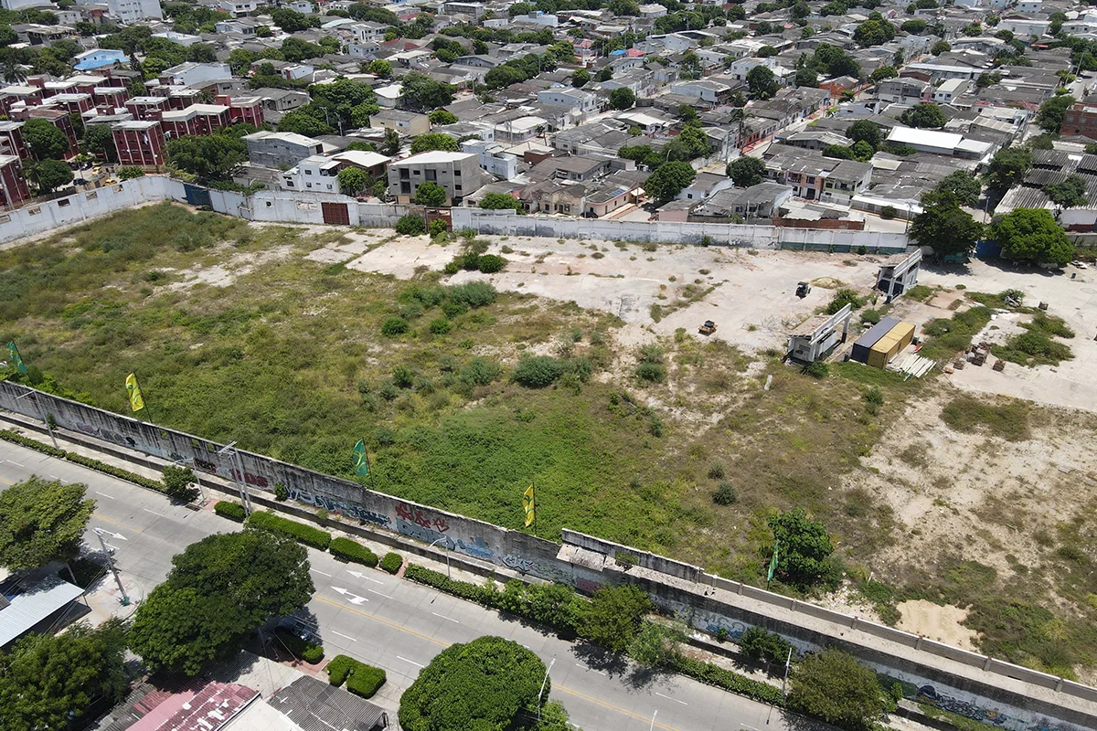 Foto del proyecto Floresta en avance de obra Agosto de 2024