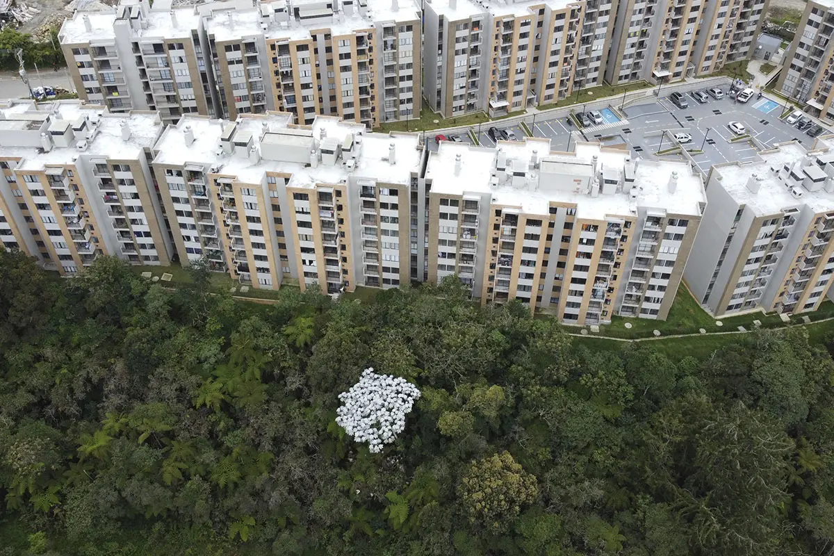 Foto del proyecto Bosque Ceibal en avance de obra octubre de 2025