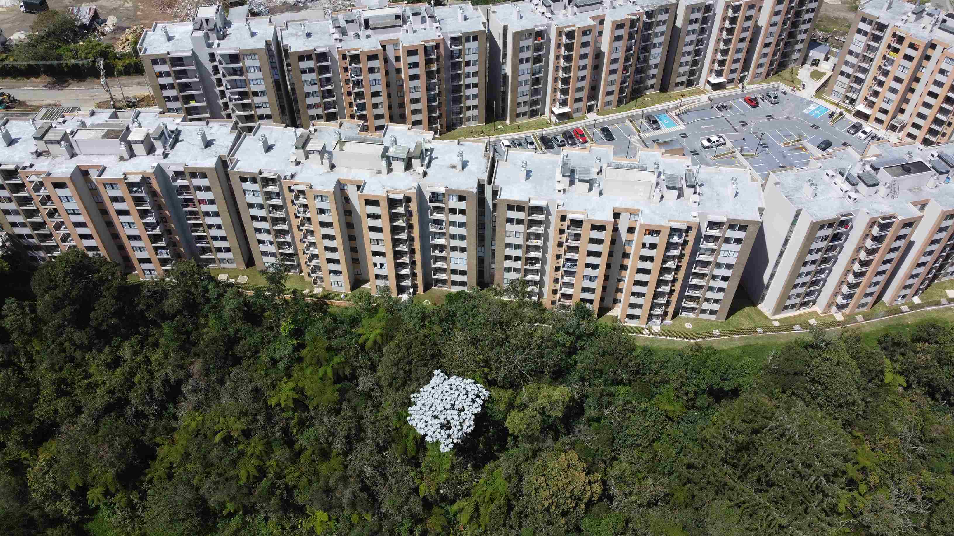 Foto del proyecto Bosque Ceibal en avance de obra septiembre de 2025