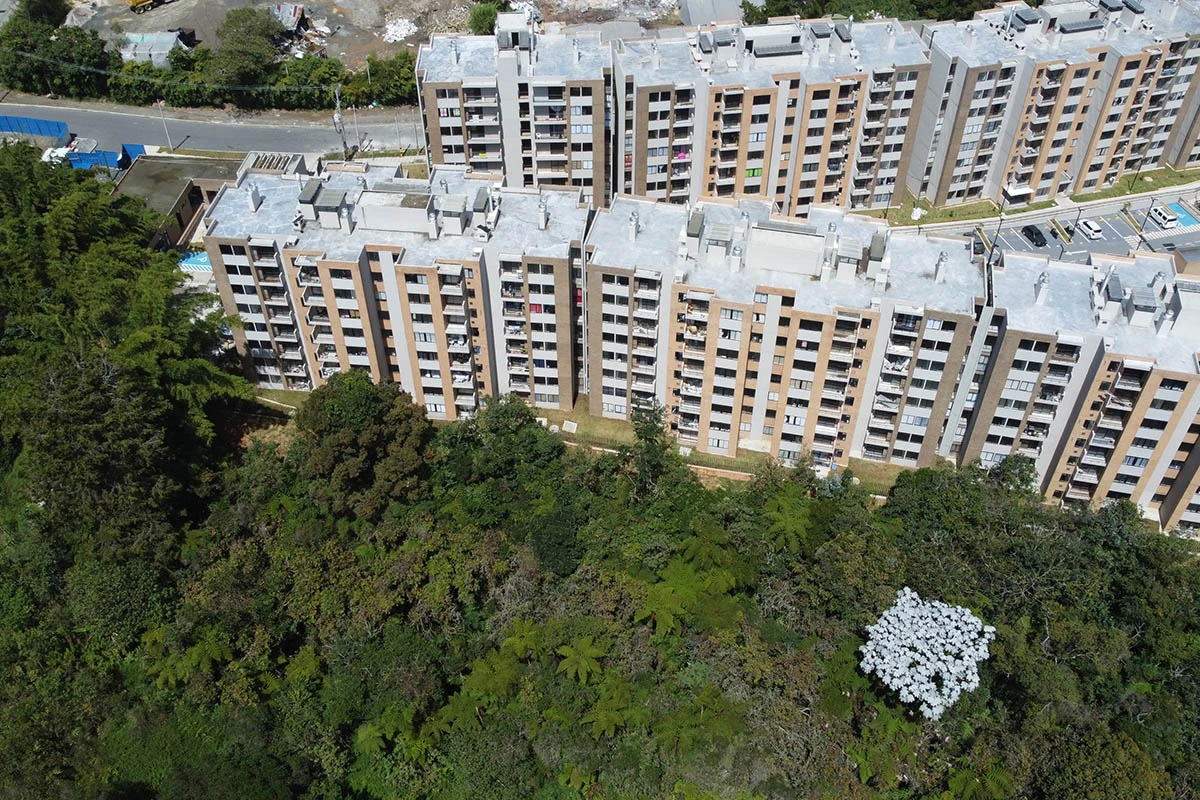 Foto del proyecto Bosque Ceibal en avance de obra julio de 2025