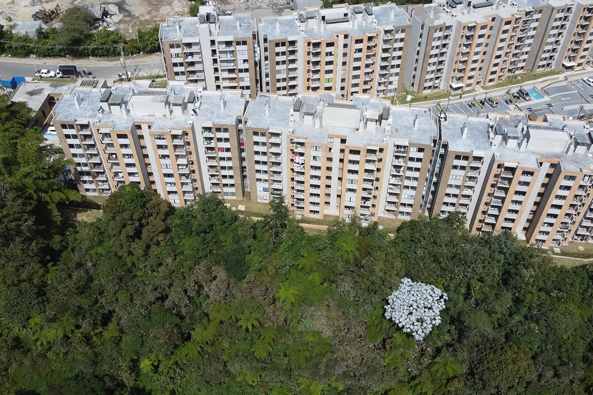 Foto del proyecto Bosque Ceibal en avance de obra junio de 2025