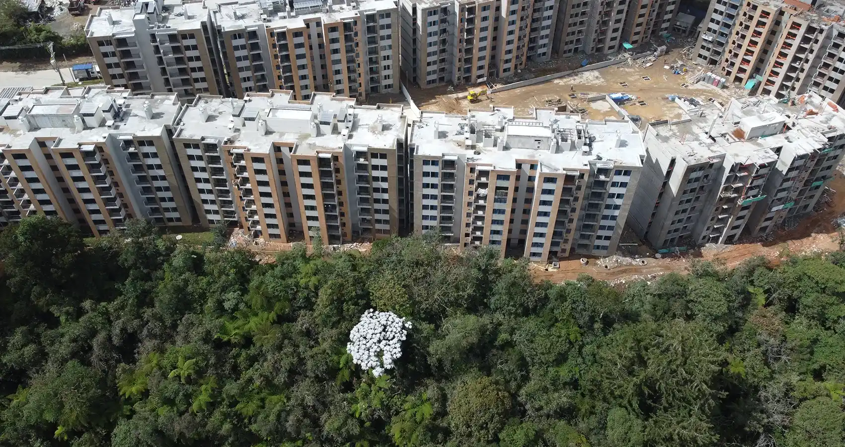 Foto del proyecto Bosque Ceibal en avance de obra Noviembre de 2024