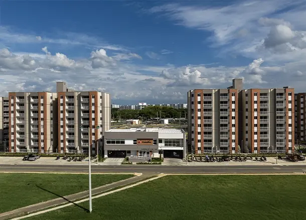 Tarjeta home Camelias 