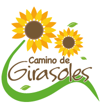 Camino de Girasoles Atlántico Girasoles 