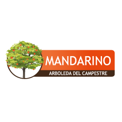 Mandarino proyecto de vivienda con subsdio de vivienda en ibague constructora bolivar