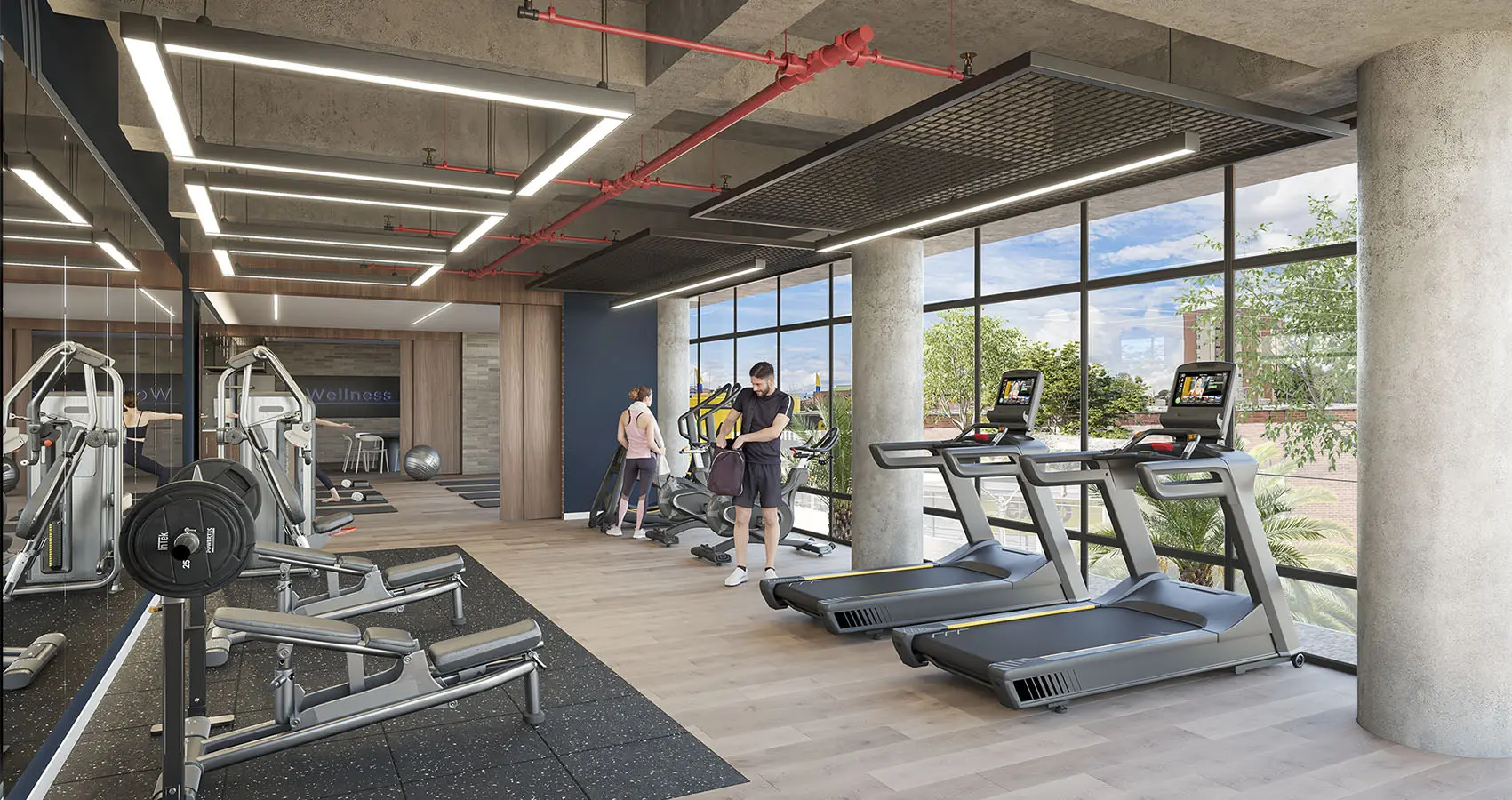 Gimnasio del proyecto 80 deck living