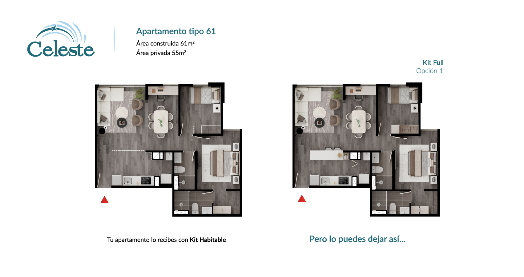 Proyecto Celeste Apartamento tipo 61