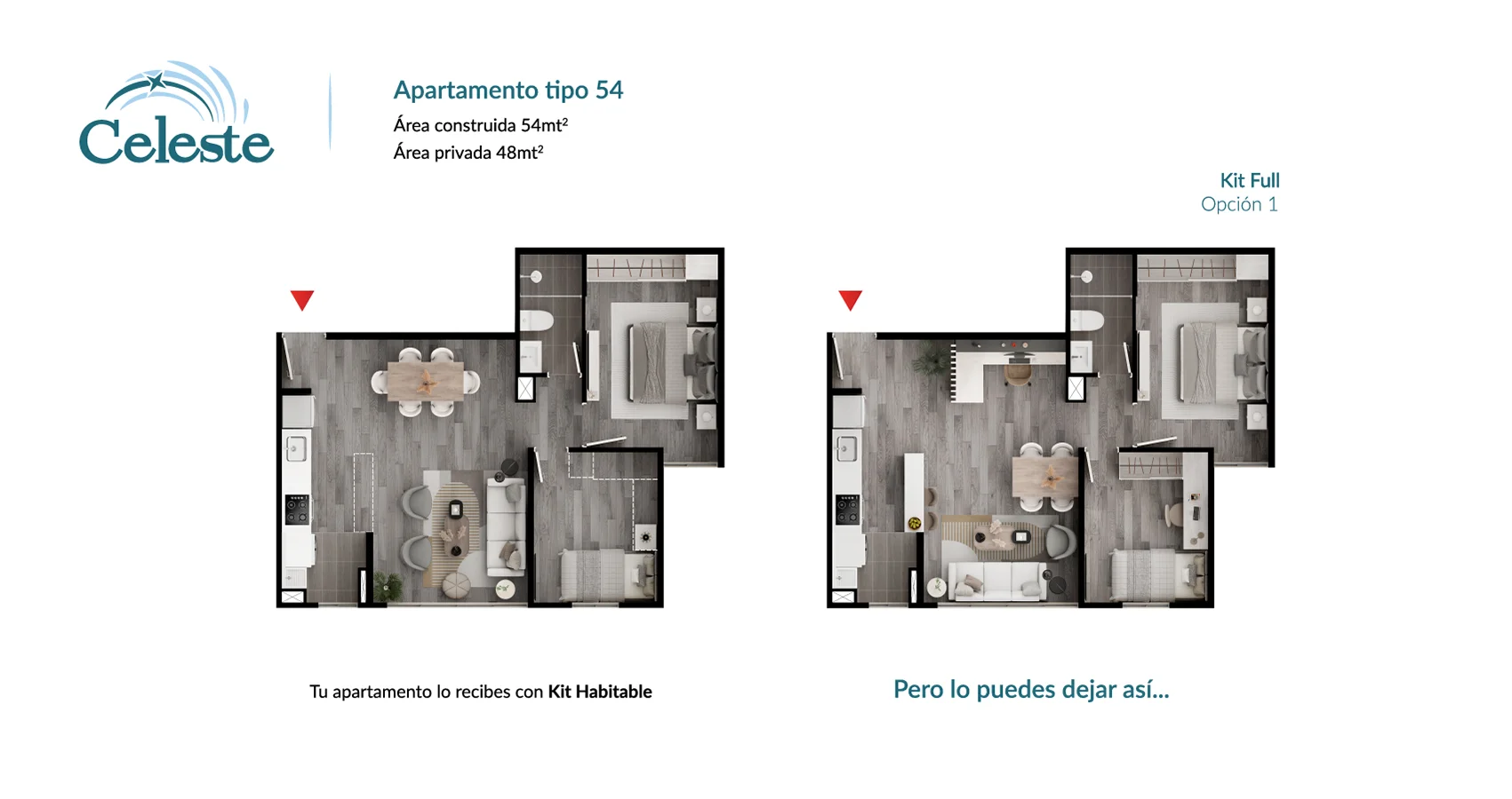 Planta del apto tipo 54 opción 1 del Proyecto Celeste