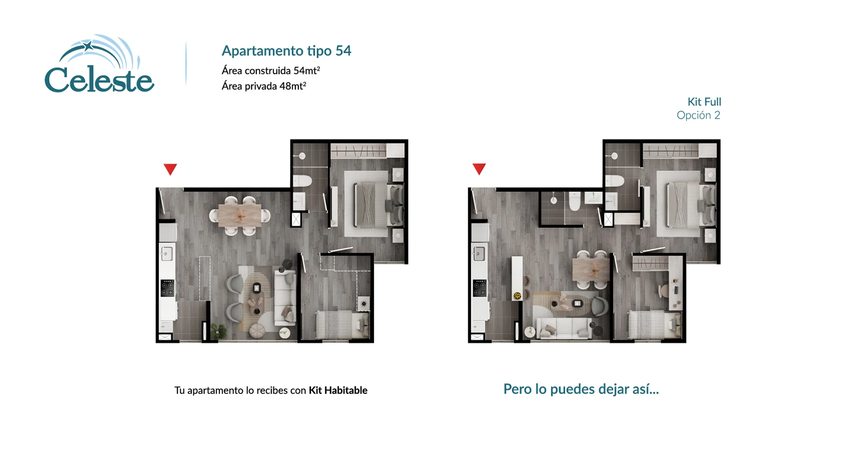 Planta del apto tipo 54 opción 2 del Proyecto Celeste