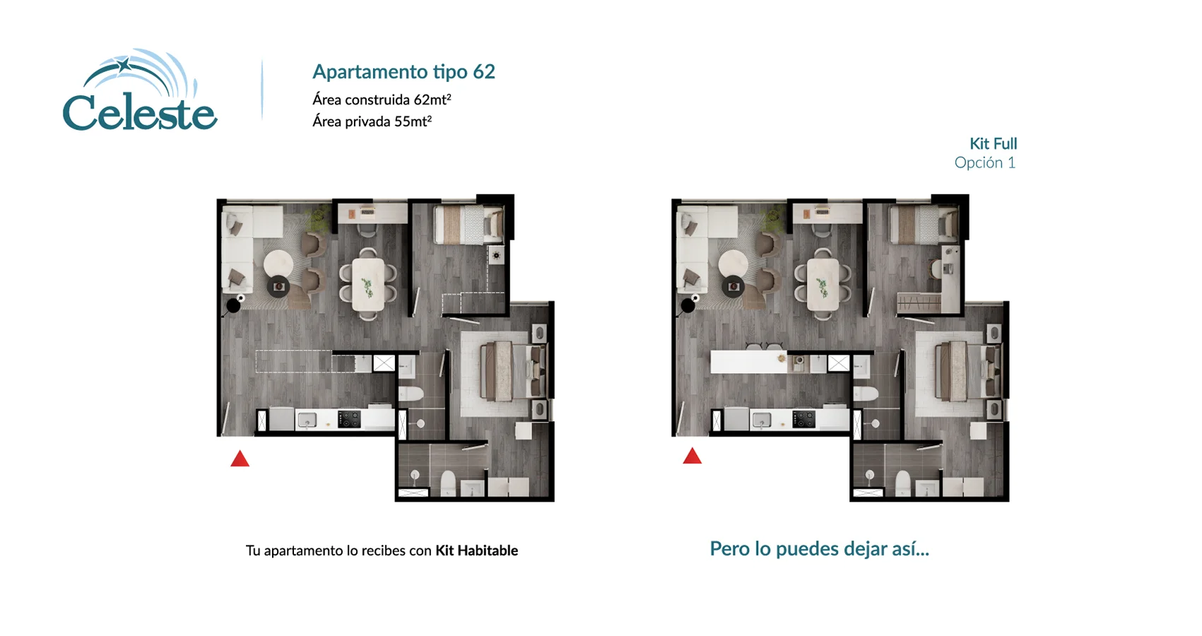 Planta del apto tipo 62 opción 1 del Proyecto Celeste