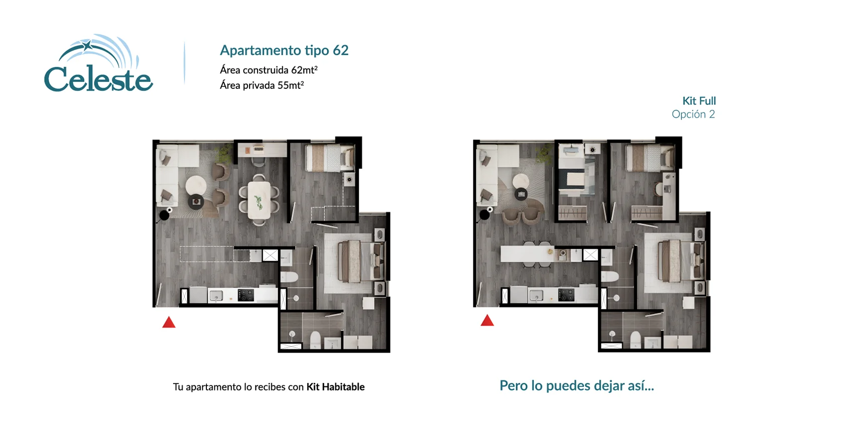 Planta del apto tipo 62 opción 2 del Proyecto Celeste