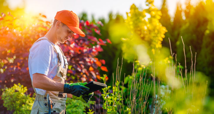 Hombre joven arreglando las flores de un jardín
